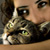 :icongultunc: