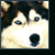 :icongun-sniper: