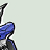 :icongundamexia3plz: