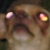 :icongunmankillz: