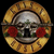 :iconguns-n-roses-club: