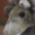 gunshotXheaven :icongunshotxheaven: