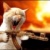 :icongurtiyou: