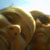 :icongurudarshan: