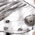 :iconGUSFINK: