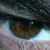 :icongusss: