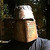 :icongust-tron: