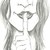 :icongustavosnovaes: