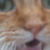 :iconguten-morgen: