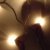 :icongutter-glitter: