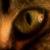 :icongutter17: