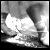 :icongutterxflower: