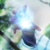 :iconguyperson: