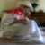 :iconguystyles: