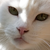 GuzzleMuzzle :iconguzzlemuzzle: