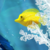 gwendolaine :icongwendolaine: