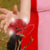 gwenyn :icongwenyn: