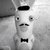 :icongwladysr: