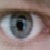 :icongwyddyon77: