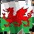 :icongwydion-gwyn:
