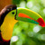 :icongy6248: