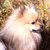 :icongy6666: