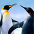 :icongymloveandmusic: