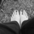 :icongymsox: