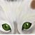 :icongypsy-chocolate-wolf: