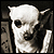 :icongypsy-dalle: