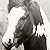 :icongypsyvanner: