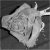 :icongypsywings: