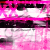:icongyrcelea: