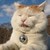 :icongyt901024: