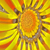 :icongzwart: