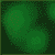 :iconH5-N1: