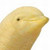 :iconh6oib: