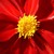 :iconh-ellosunshine: