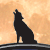 :iconh-haller: