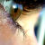 :iconh-rachel: