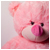 :iconhaamaadaa: