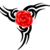 :iconhabibahmadi: