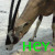 :iconhackin:
