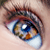 :iconhaddar: