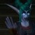 :iconhaianakitty: