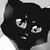 :iconhaigis: