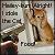 :iconhailey-kun: