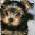 :iconhailey3rae: