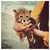 :iconhaileybrooke: