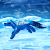 :iconhailstorm93: